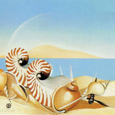 ヘレン・ウィルシャイアー作品 | TIVOLI HIROSHIMA