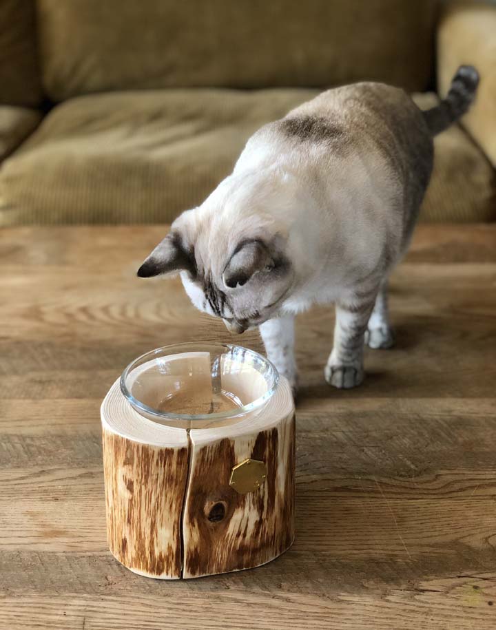 PET TABLE | TRUCK FURNITURE