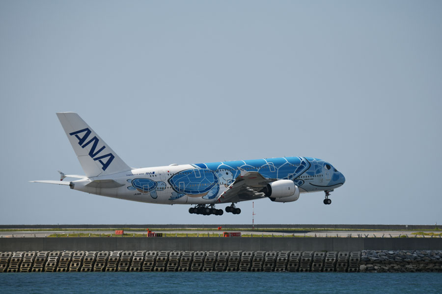 フライングホヌ✕3 コンプリート1/500 エアバス A380 ANA フライング