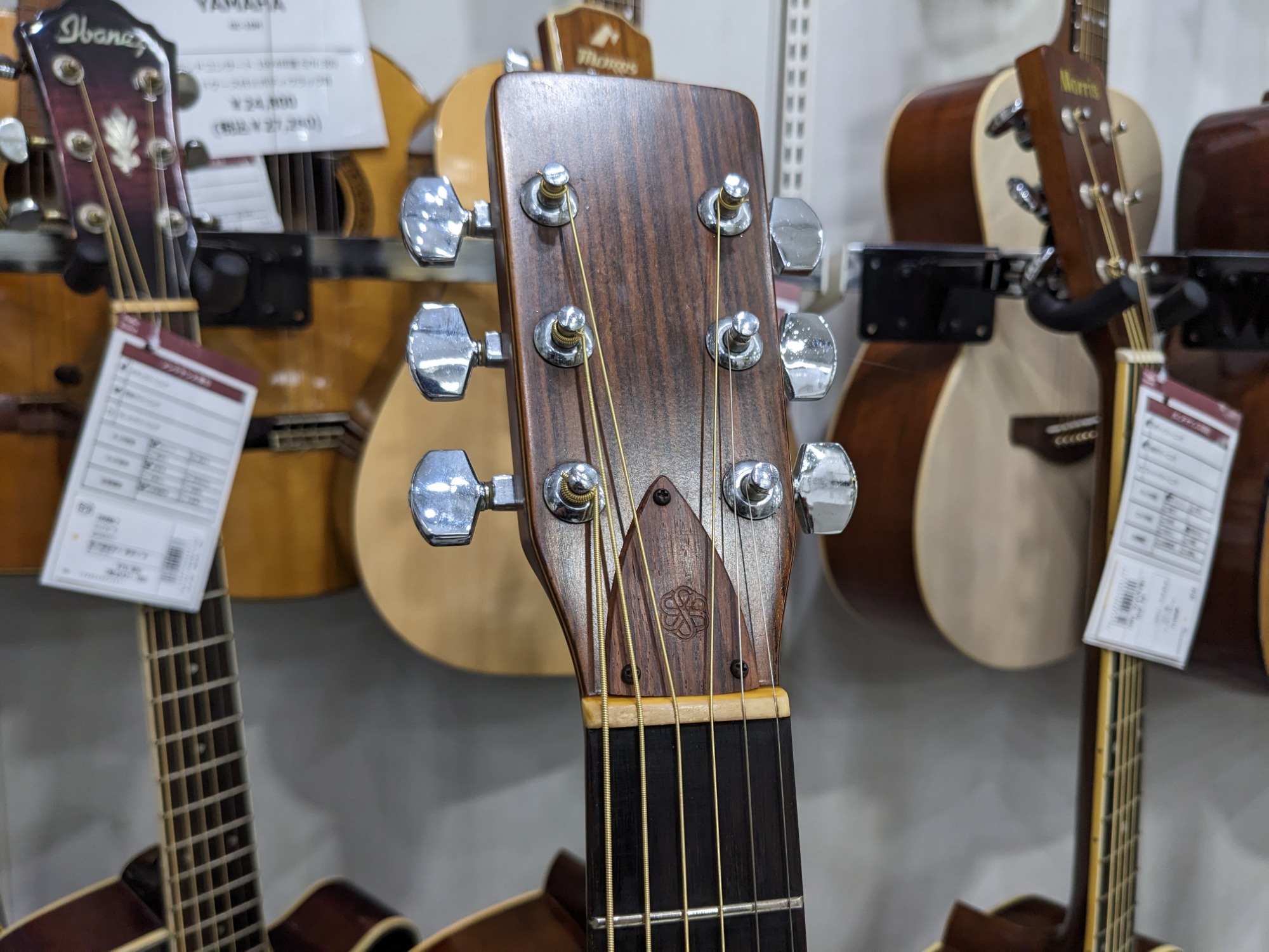SUZUKI VIOLIN アコースティックギター F500入荷!!｜2023年03月09日