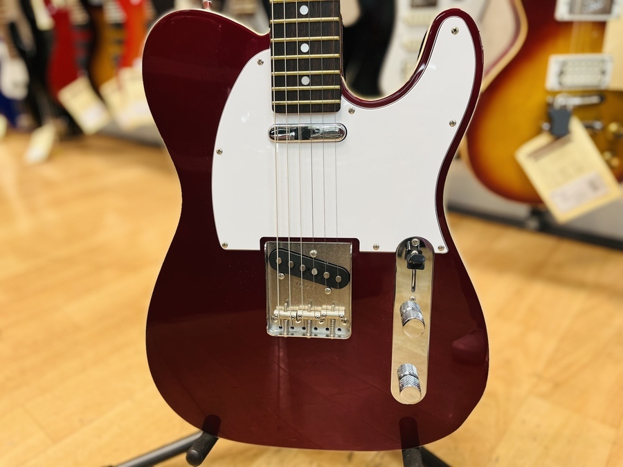 tokai (トーカイ)のテレキャスター breezy sound が入荷しました