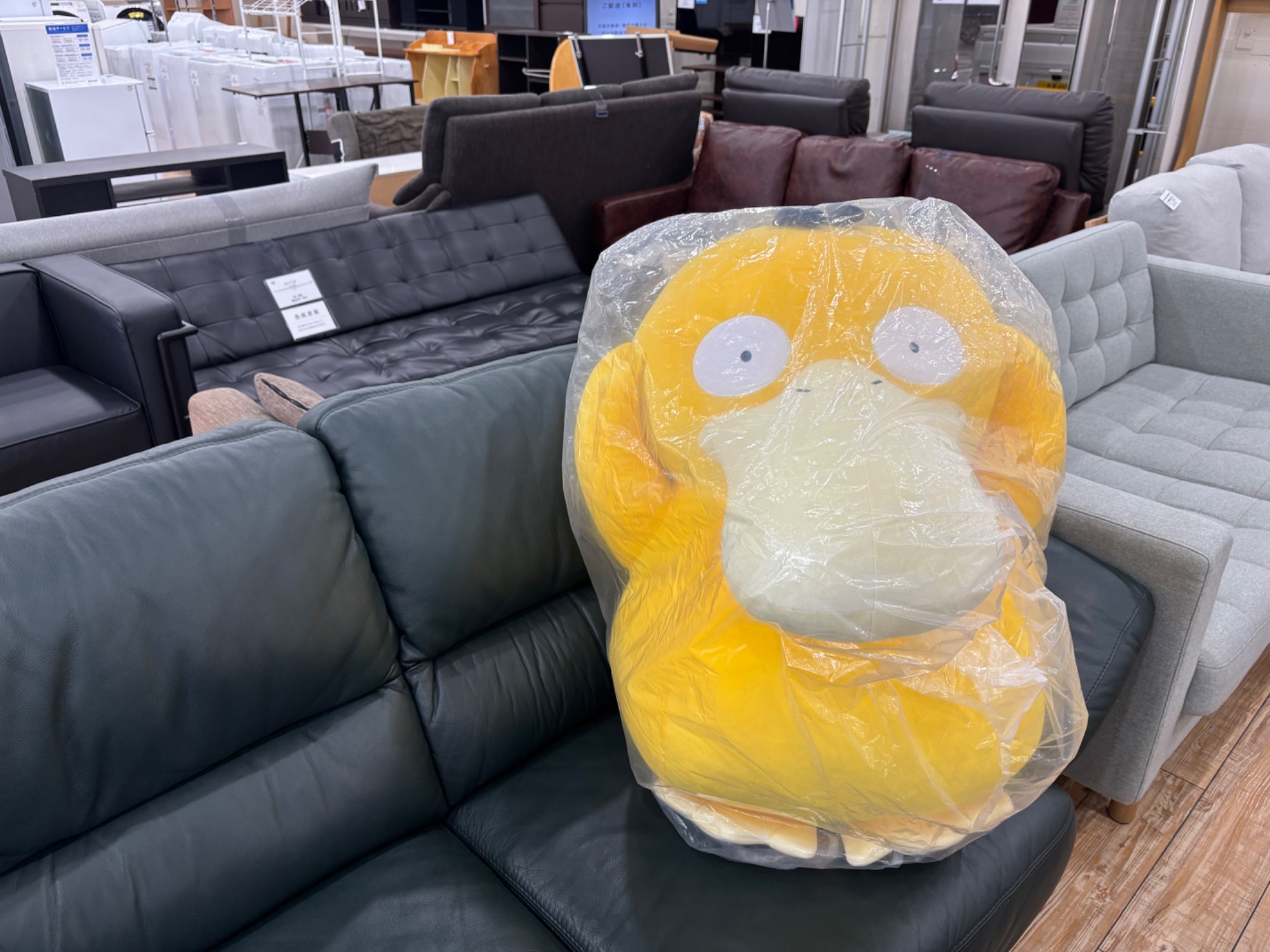 販売 コダック ぬいぐるみ ポケモンセンター限定 等身大コダック