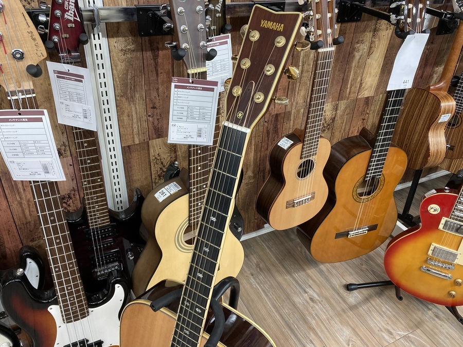 YAMAHAの定番アコースティックギターL-5の前期型が入荷しました!｜2022