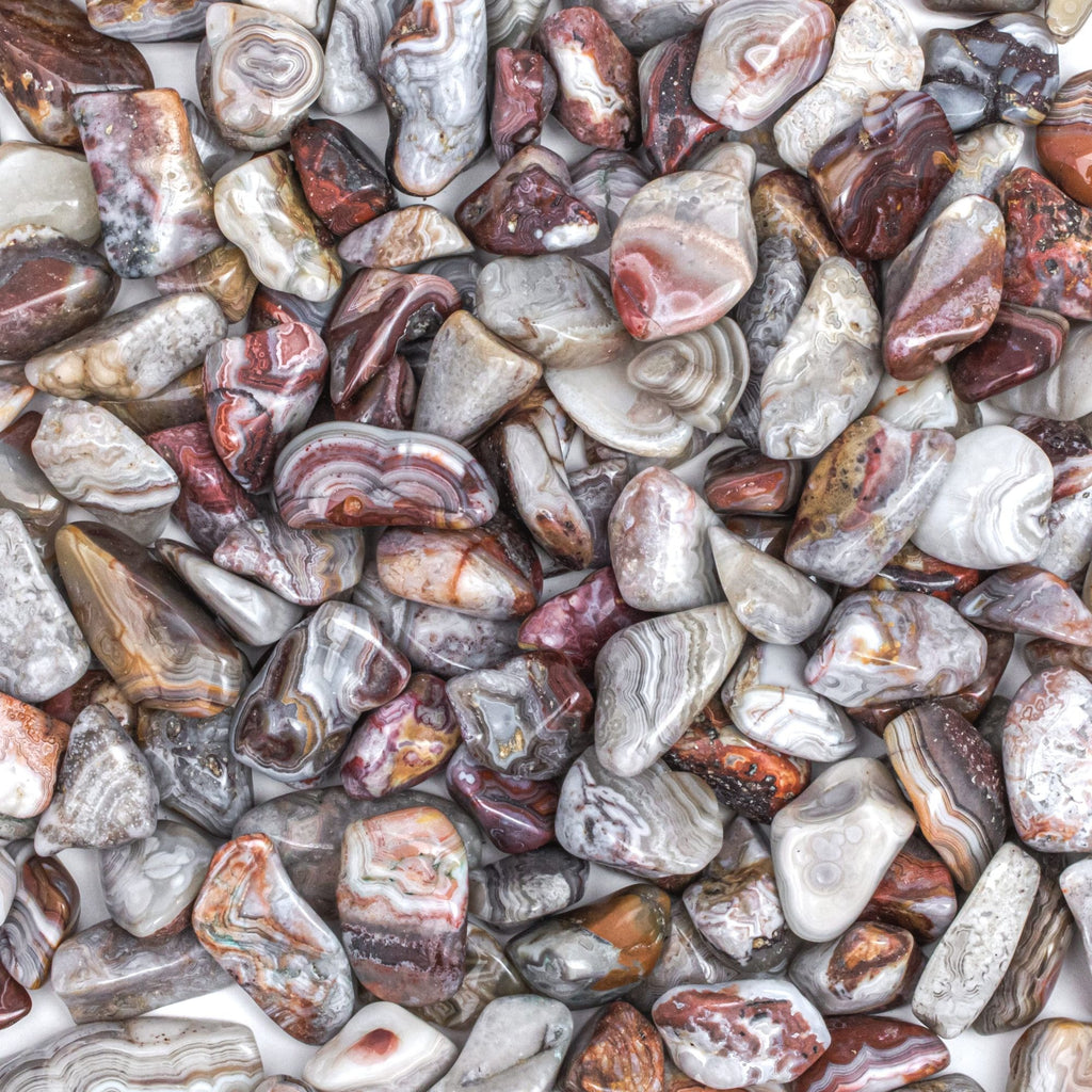 Medium Tumbled Rocks Mexican Crazy Lace Agate | Tree of Life Gems