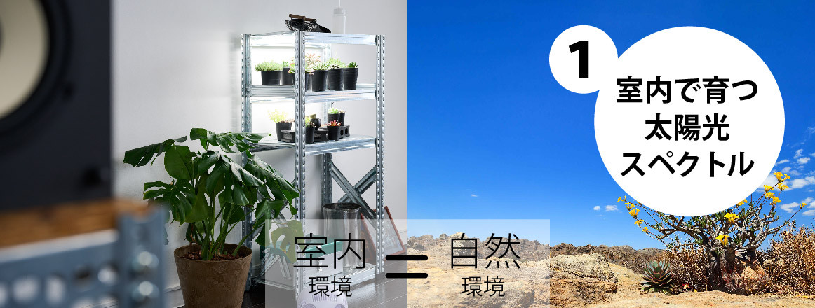 プラントテラス580の製品詳細｜トライテラス