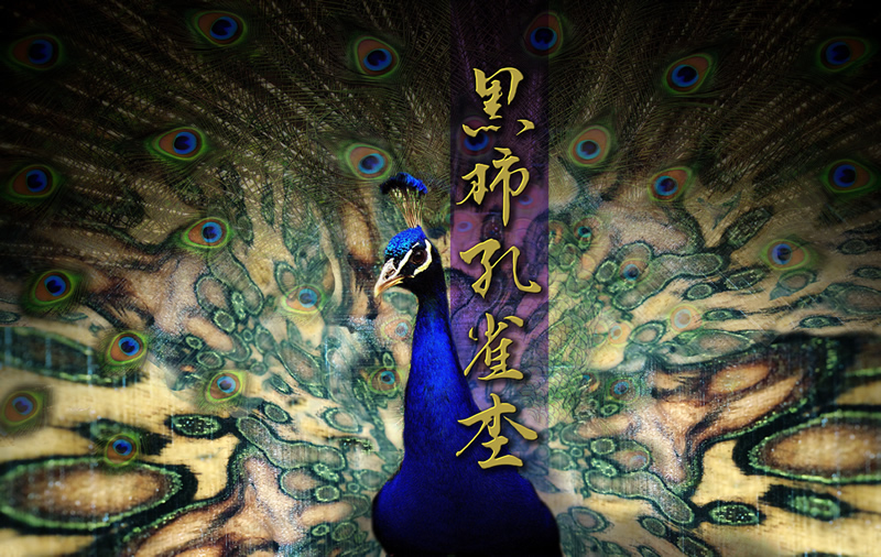 素材｜黒柿孔雀杢】Tsurubami Collection ツルバミ 漆織 屋久杉 黒柿孔雀杢