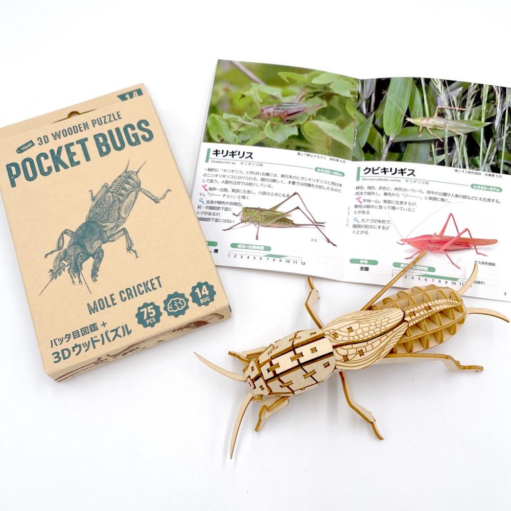 ポケットバグズ14オケラ