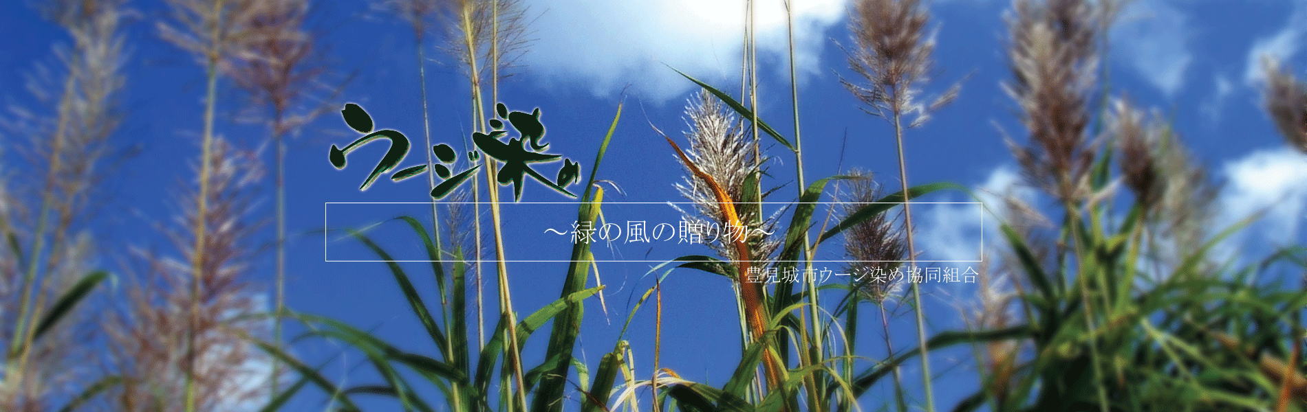 u-jizome note | 豊見城市ウージ染め協同組合-Page2