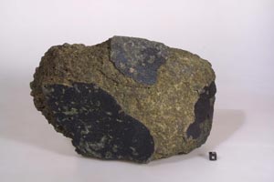 隕石から覗く太陽系 ウロボロスVolume12 Number2 東京大学総合研究博物館