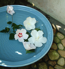 人間国宝中島宏・インタビュー【うまか陶】