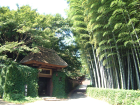 人間国宝中島宏・インタビュー【うまか陶】