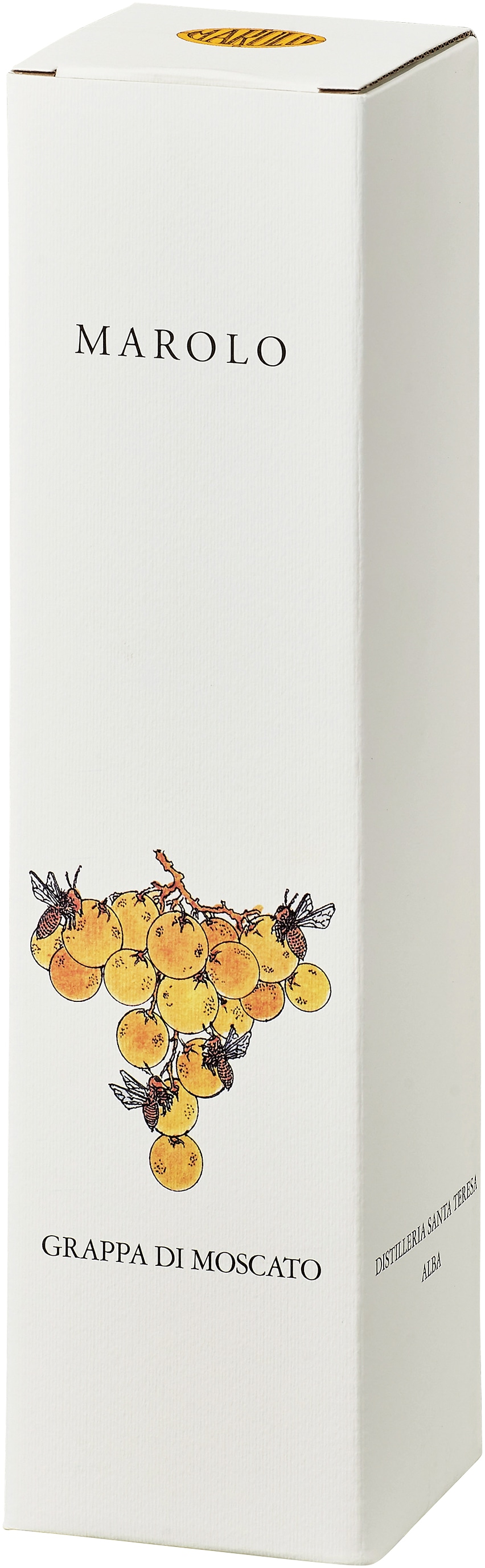 グラッパ・ディ・モスカート／マローロ