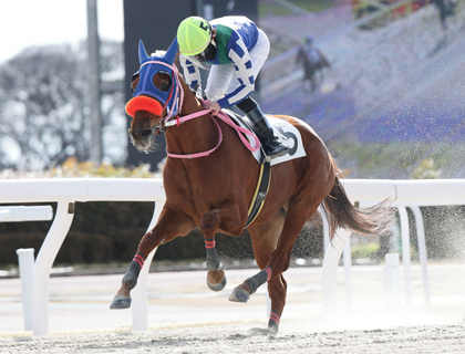 ユニオンオーナーズクラブ