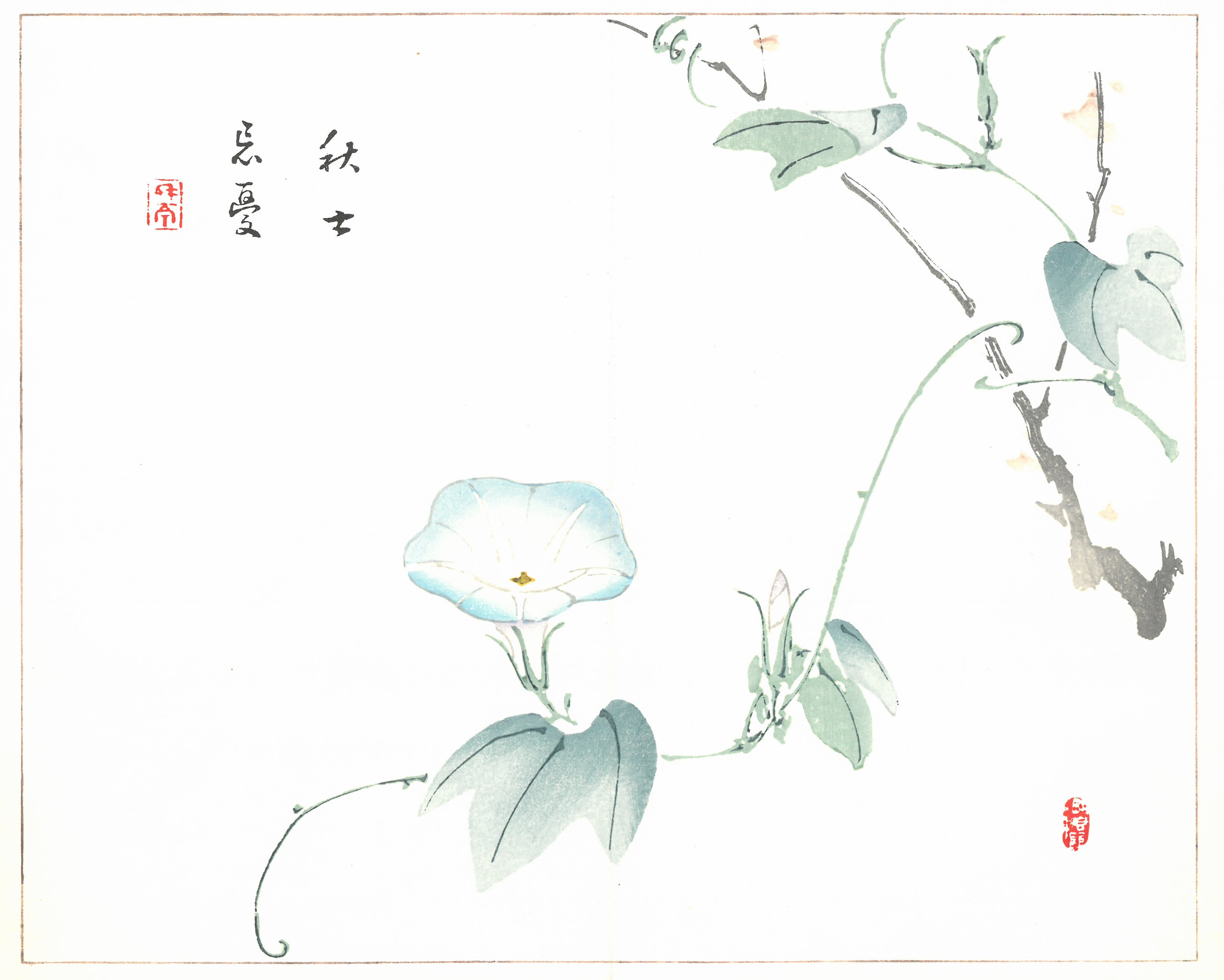 丹青一斑 – 芸艸堂