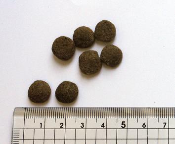 ブラックウッド 5000 なまず 全犬種 離乳後-老齢期 20kg / 送料無料 | 通販