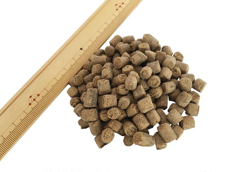 国産ドッグフード ZEN プレミアムドッグ グレインフリー ベニソン 小粒