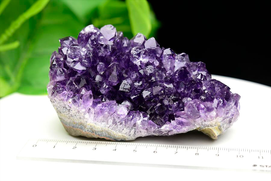 フラワーアメジスト クラスター 原石 ウルグアイ産 紫水晶 スタラクタイト