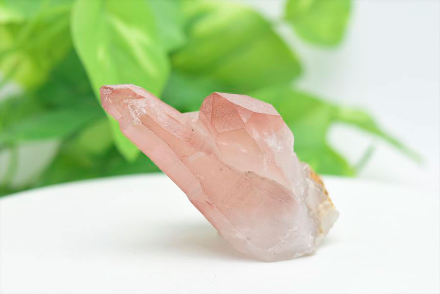 ピンクレムリアンシード vol.307 ピンクレムリアンシード vol.307 楽天