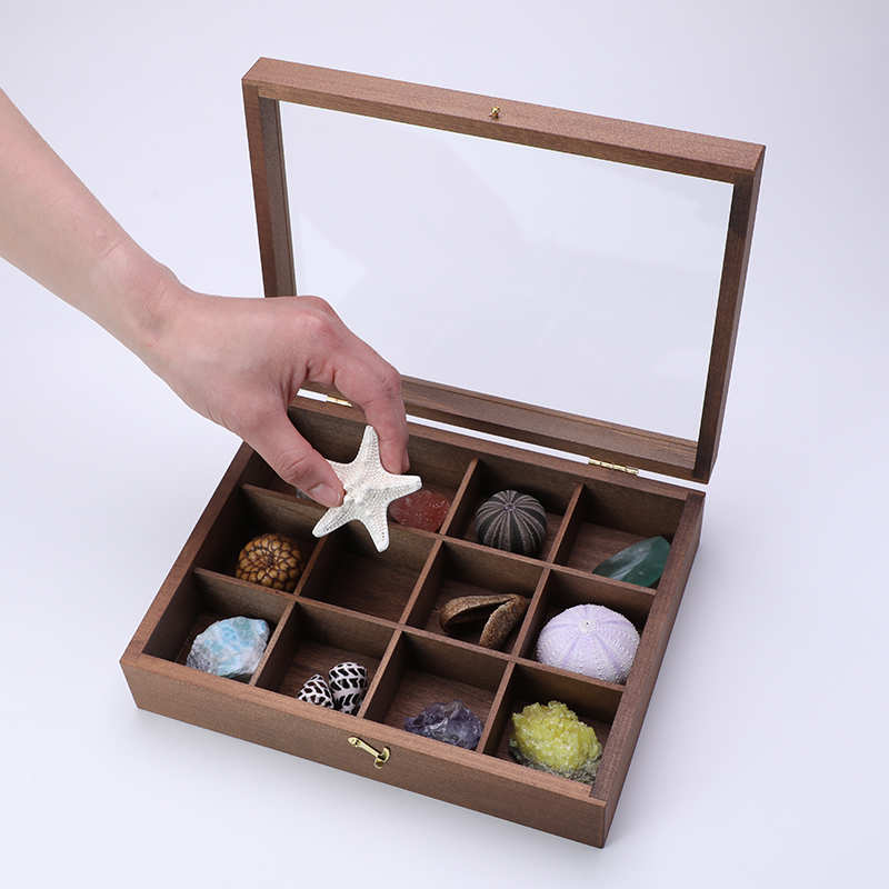 標本箱発売のお知らせ – 株式会社ウサギノネドコ