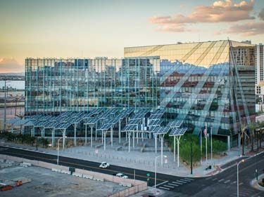 10777】History HS-LVSD Las vegas グリーン Las Vegas High School