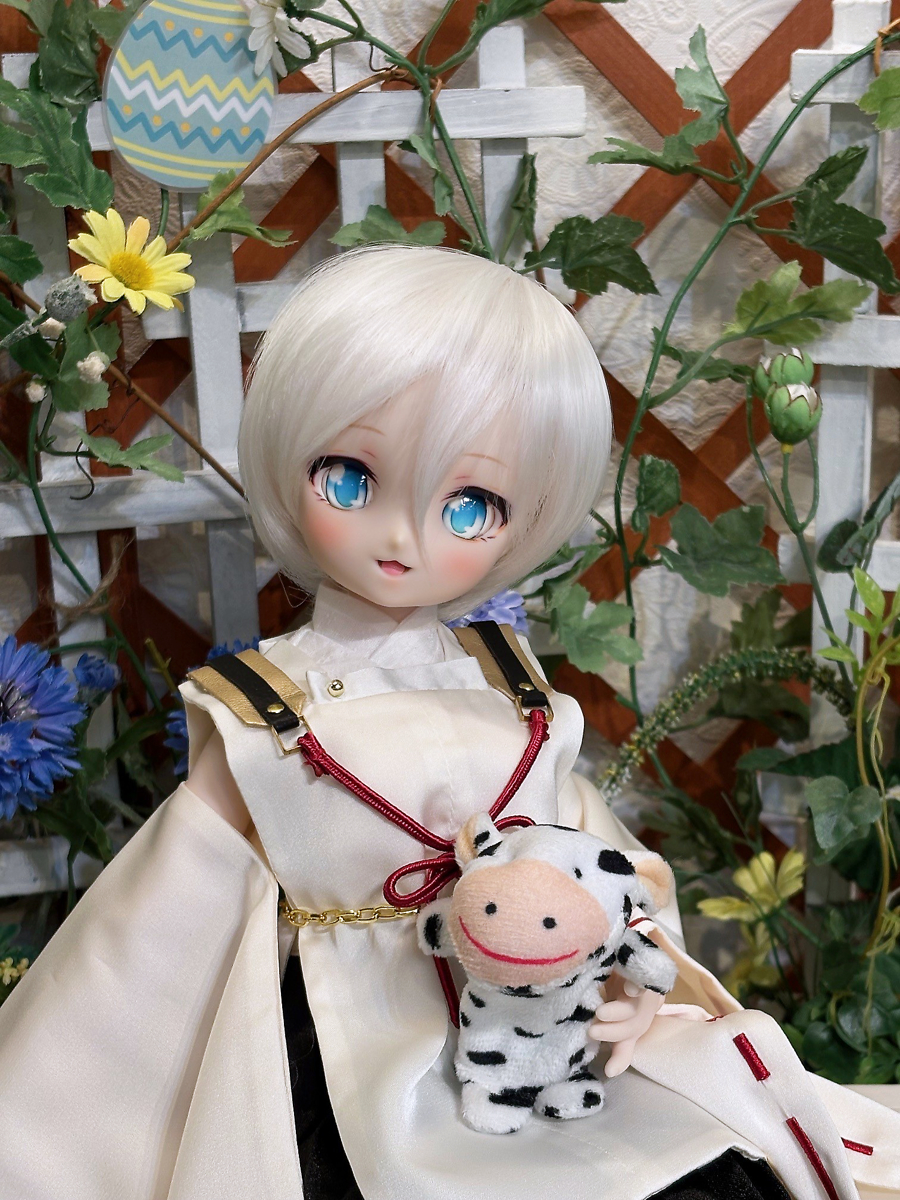 ミニドルフィードリーム/MDDセット 2024 MDD ミニドルフィードリーム