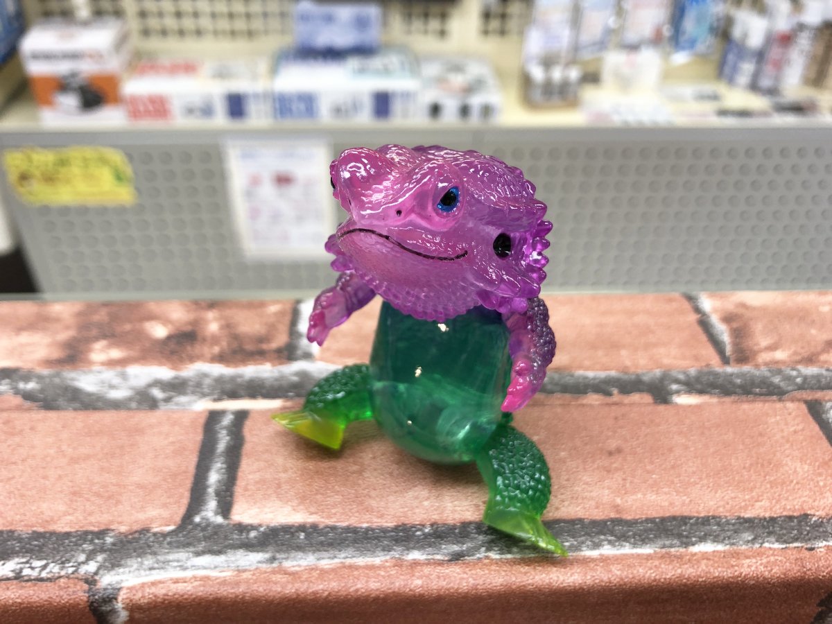 ぺインターネット フトアゴン 2体セット フトアゴン2体セット