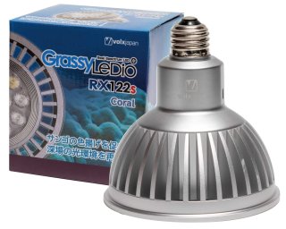 GrassyLeDio - ボルクスジャパン ダイレクト (Page 1)