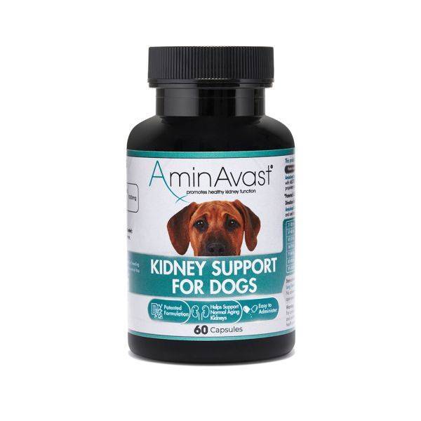 AminAvast - Promotes Healthy Kidney Function in Cats and Dogs