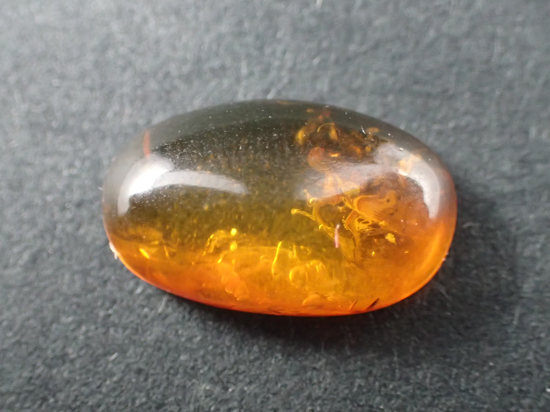 大粒 天然虫入り琥珀 アンバー 夏休み 自由研究 化石 恐竜