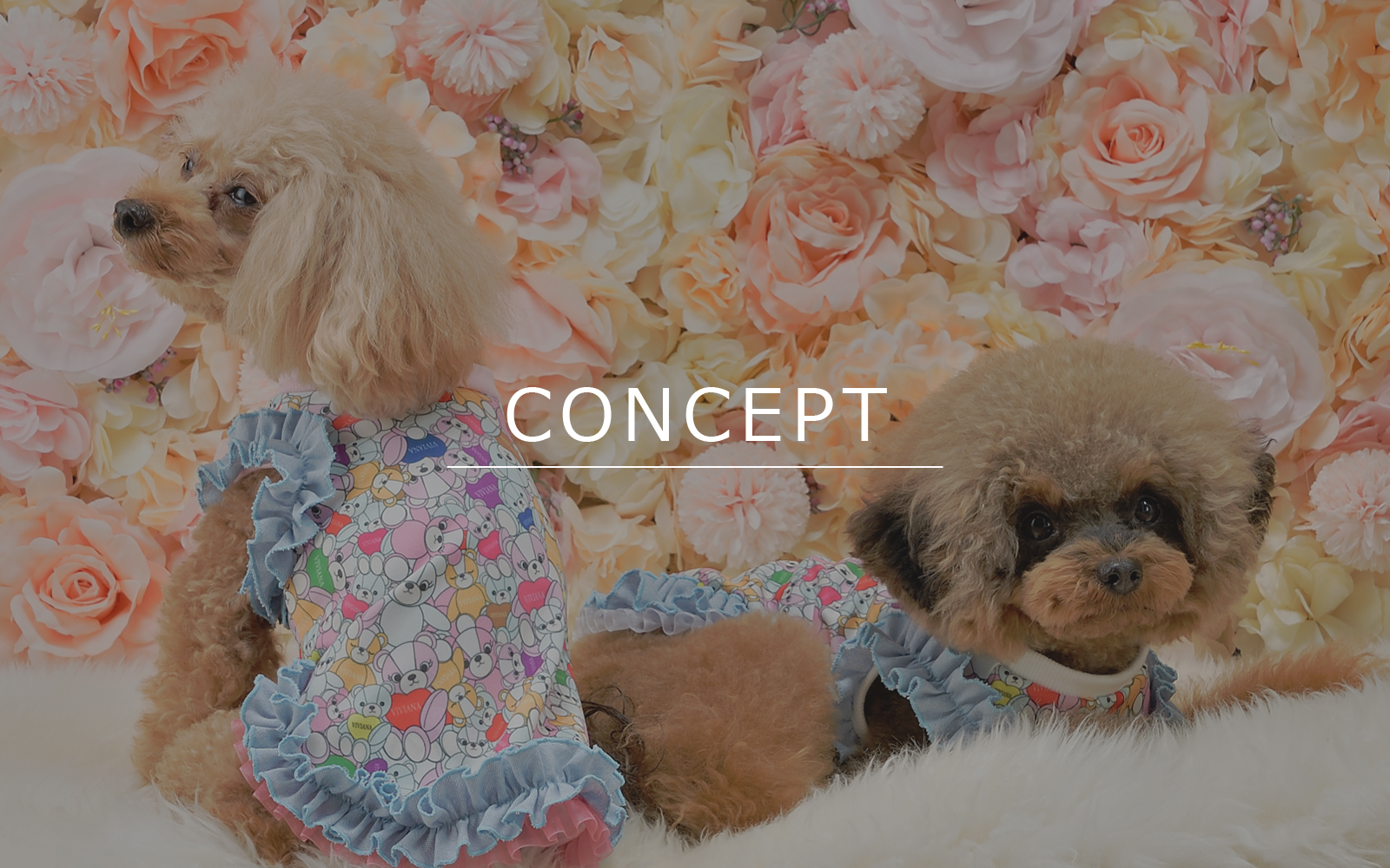 犬服・ドッグウェアブランド「VIVIANA（ヴィヴィアナ）」｜コンセプト