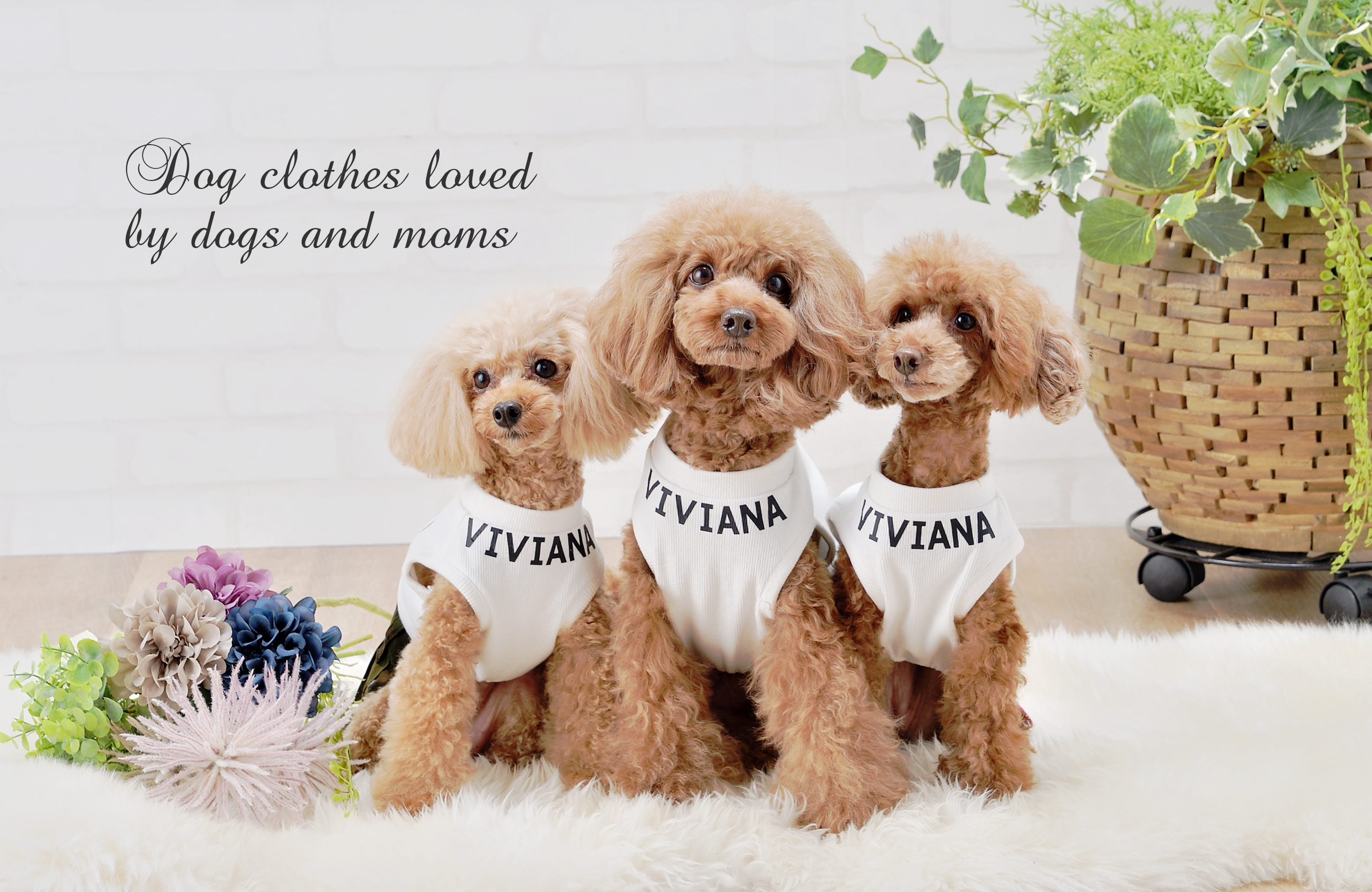 犬服・ドッグウェアブランド「VIVIANA（ヴィヴィアナ）」｜公式ペット