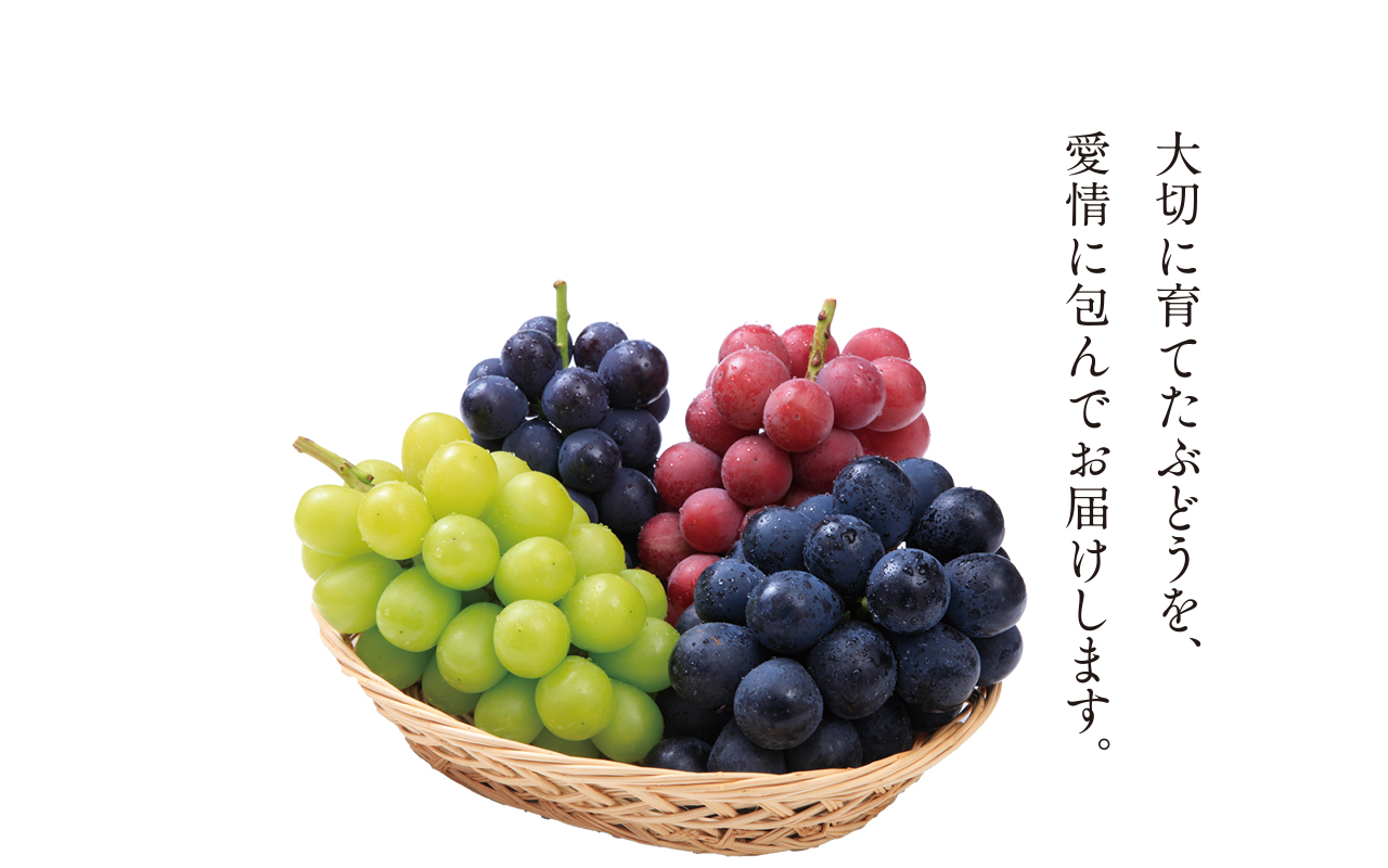 信州 生坂村のぶどうブランド-イクサカラット