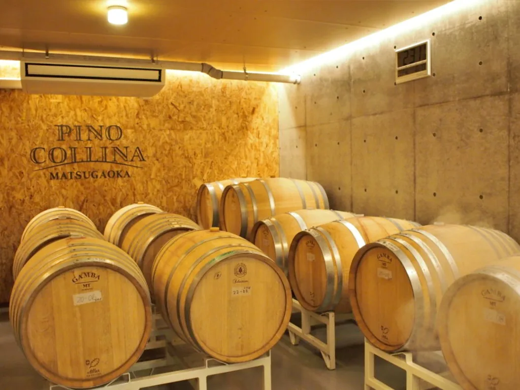 特集記事】山形県鶴岡市 ピノ・コッリーナ松ヶ岡｜250年の時を紡ぐ