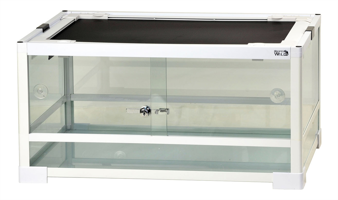 REPTI WILD パンテオン BK6035 【公式通販】
