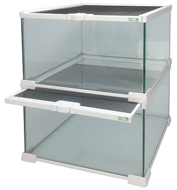 グラスゾーン30-WH レプティワイルド SANKO 販売 通販 爬虫類用ガラス