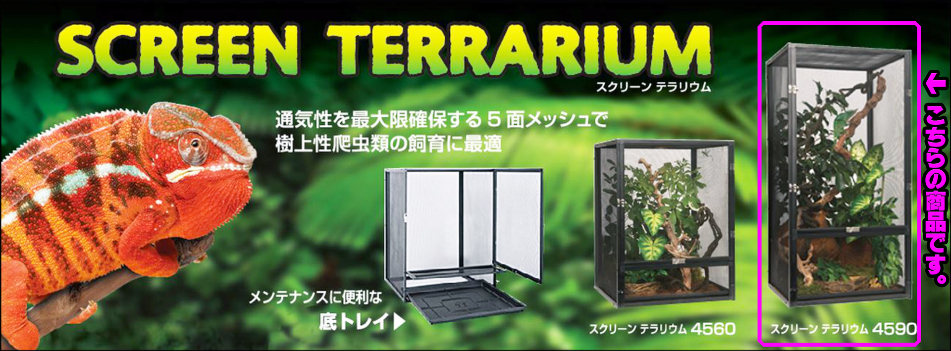 スクリーンテラリウム4590 GEX EXOTERRA メッシュケージ 販売 通販