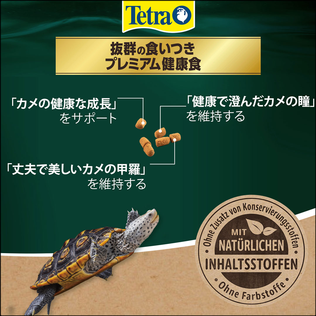 テトラレプトミンスーパー中粒160g テトラ カメのごはん 販売 通販
