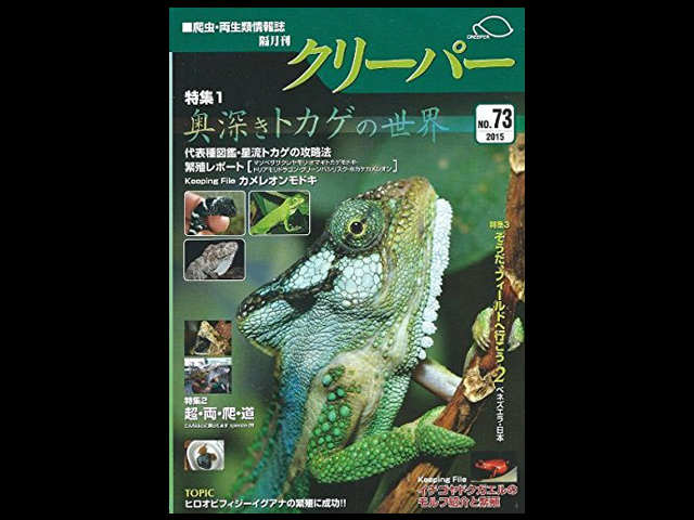 CREEPER（クリーパー） NO.73 奥深きトカゲの世界