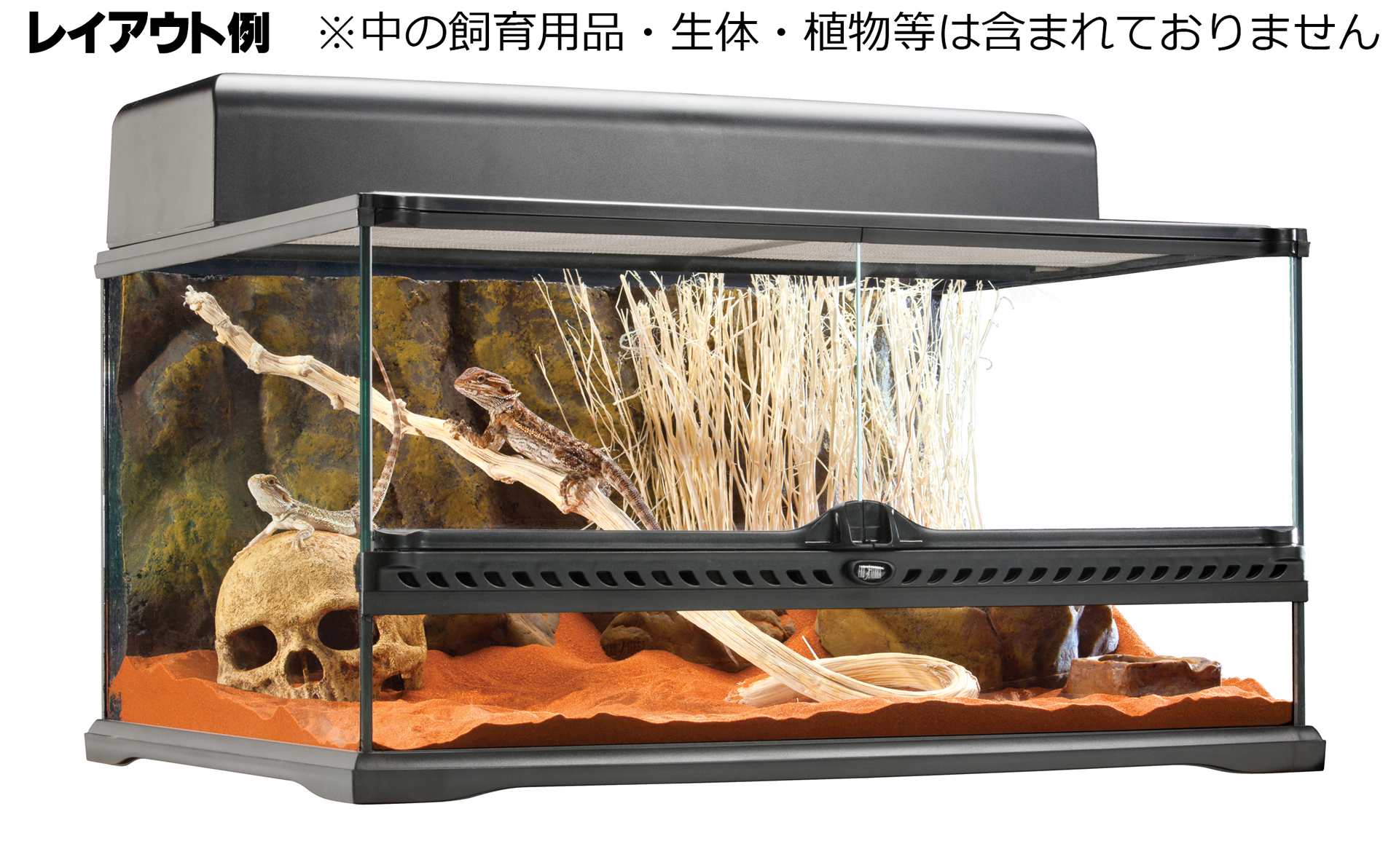 引き取り限定】エキゾテラ GEX EXOTERRA グラステラリウム 3030