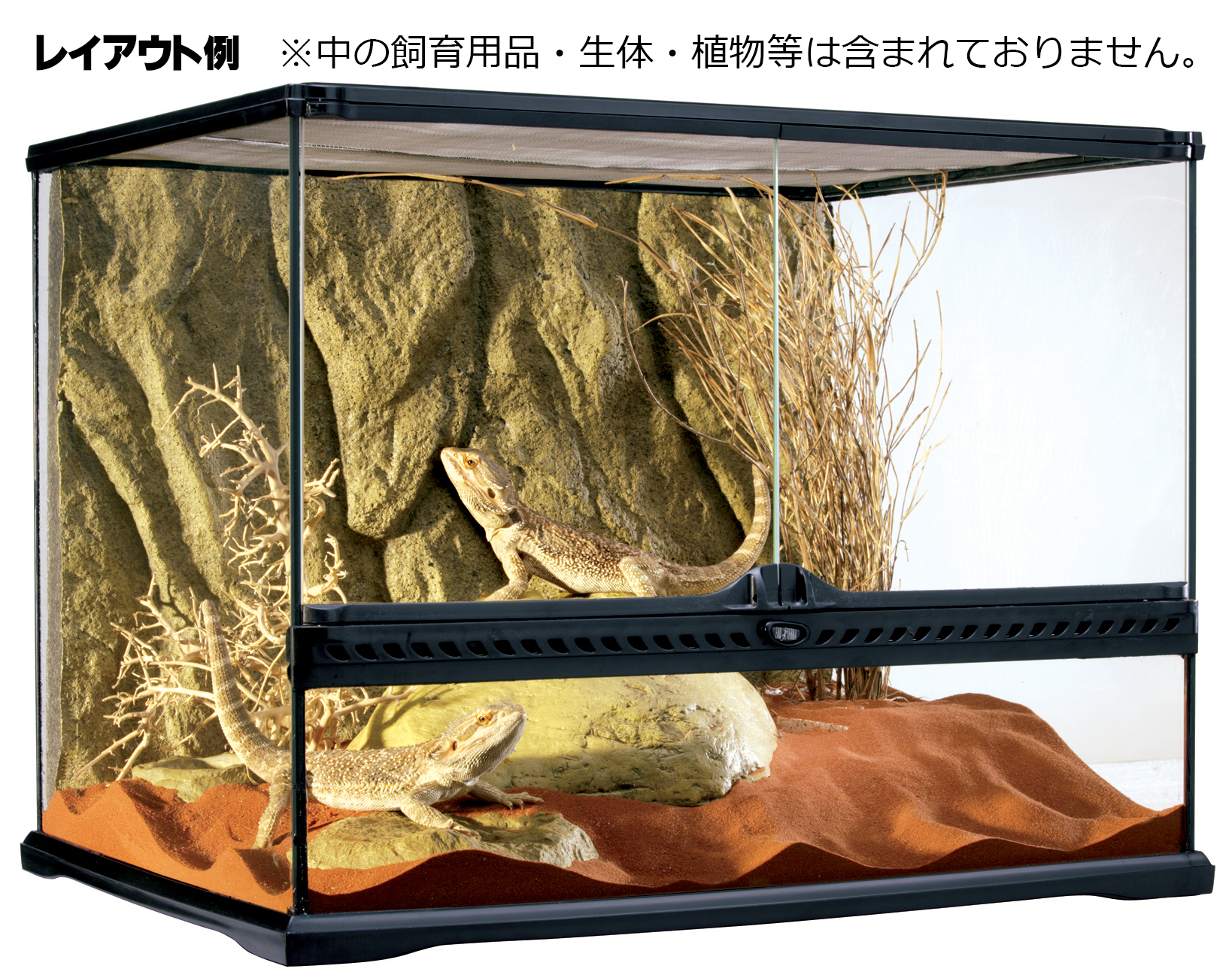 GEXスクリーンテラリウム4560 ストア 爬虫類育成ゲージ(GEX