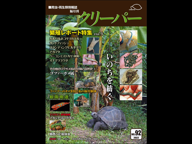 4363 外国切手 ガイアナ 1993年 恐竜 先史時代の爬虫類 12面入シート