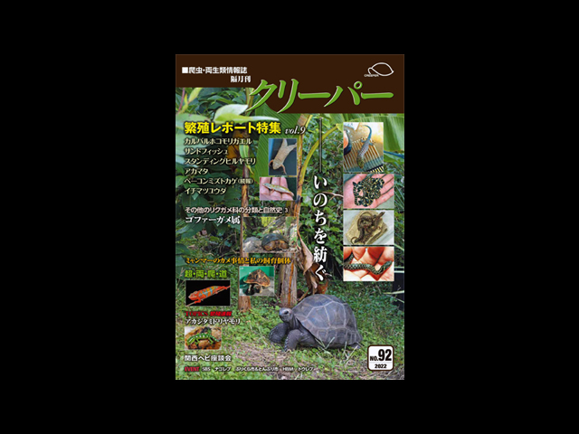 クリーパー(CREEPER) クリーパー社 販売 通販