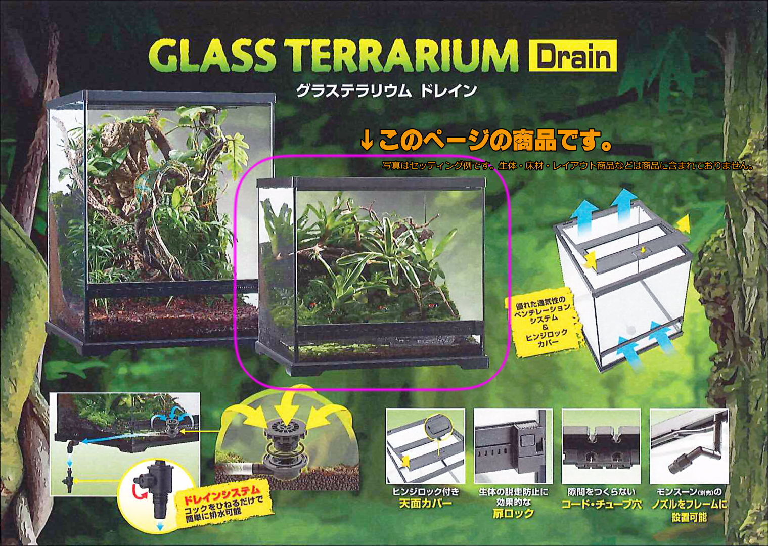 グラステラリウムドレイン4545 EXOTERRA GEX ガラスケージ 販売 通販