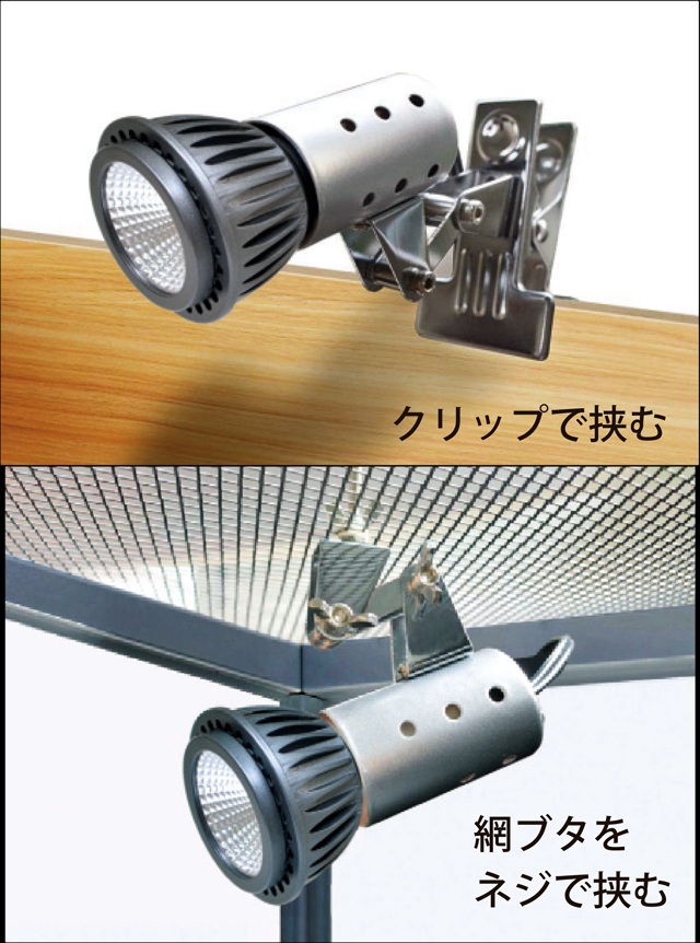 マイクロ UV LED + マイクロンセット ペットペットゾーン 販売 通販