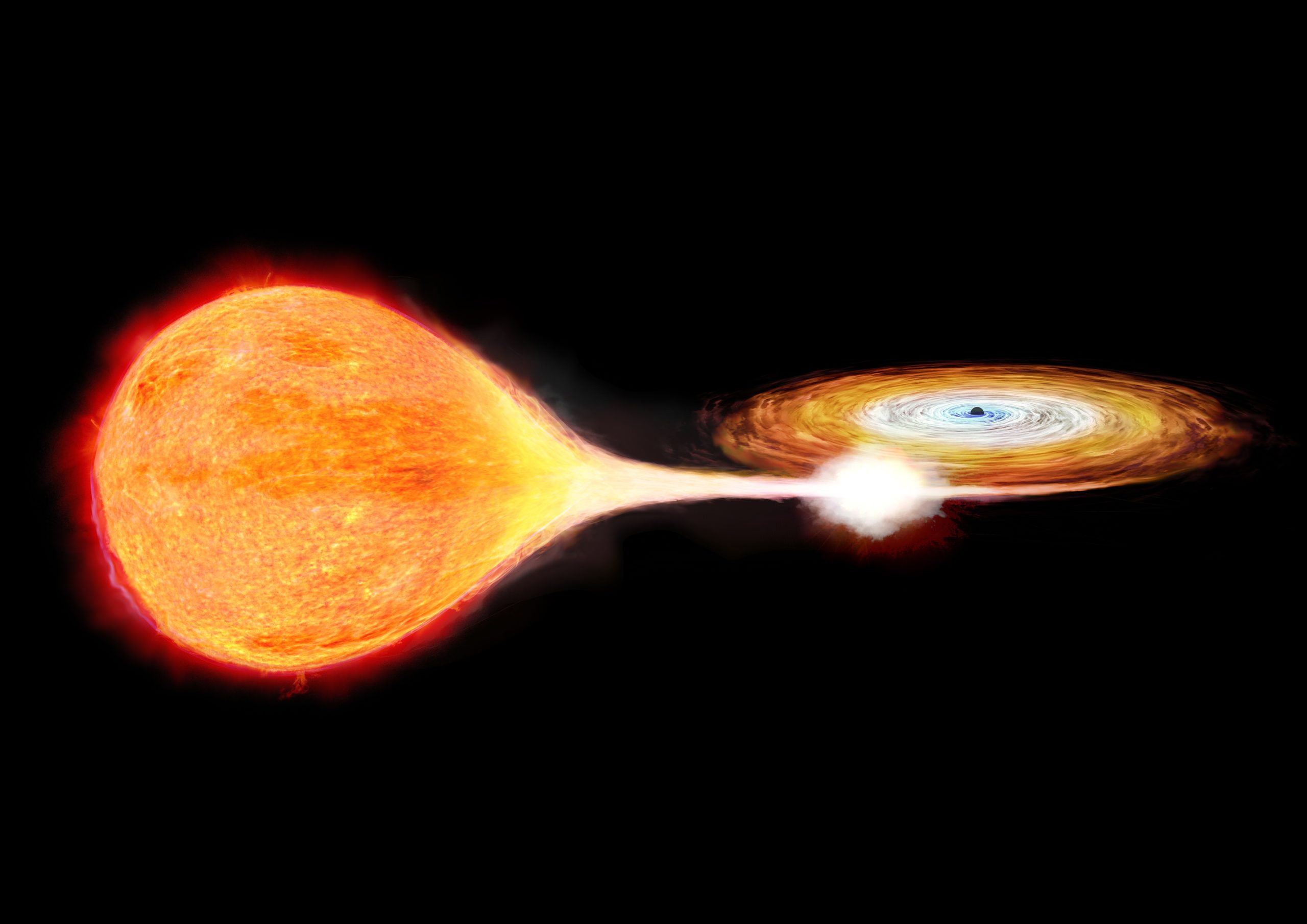 天の川銀河内の恒星質量ブラックホールのダイナミックな活動 | 科学