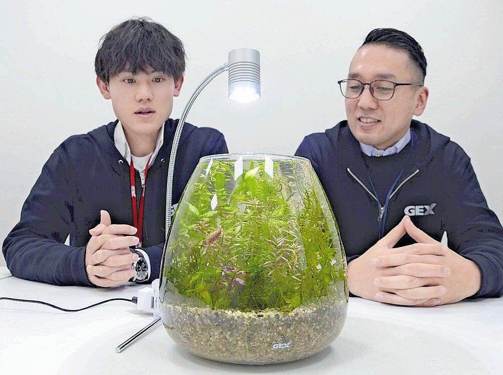 大型緑色水槽・池 60型 大型緑色タンク 水槽・池用