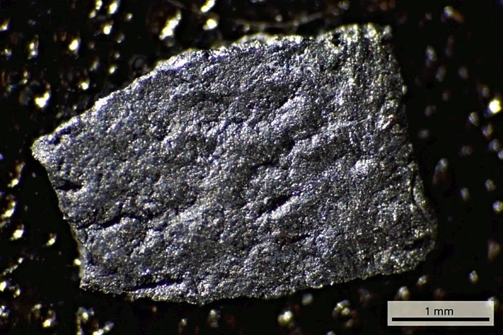 国内最古、1億3千万年前の恐竜の卵殻化石…「進化や生態解明に重要な