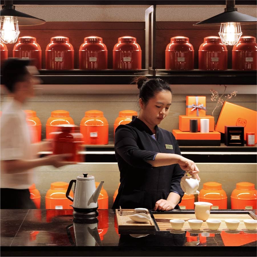 遊山茶を訪ねる－お茶のOEM | お茶の生産 | 百年の経験を持つ台湾茶と