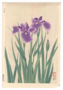 伊藤仁三郎 | 美術作品 | 山田書店美術部オンラインストア