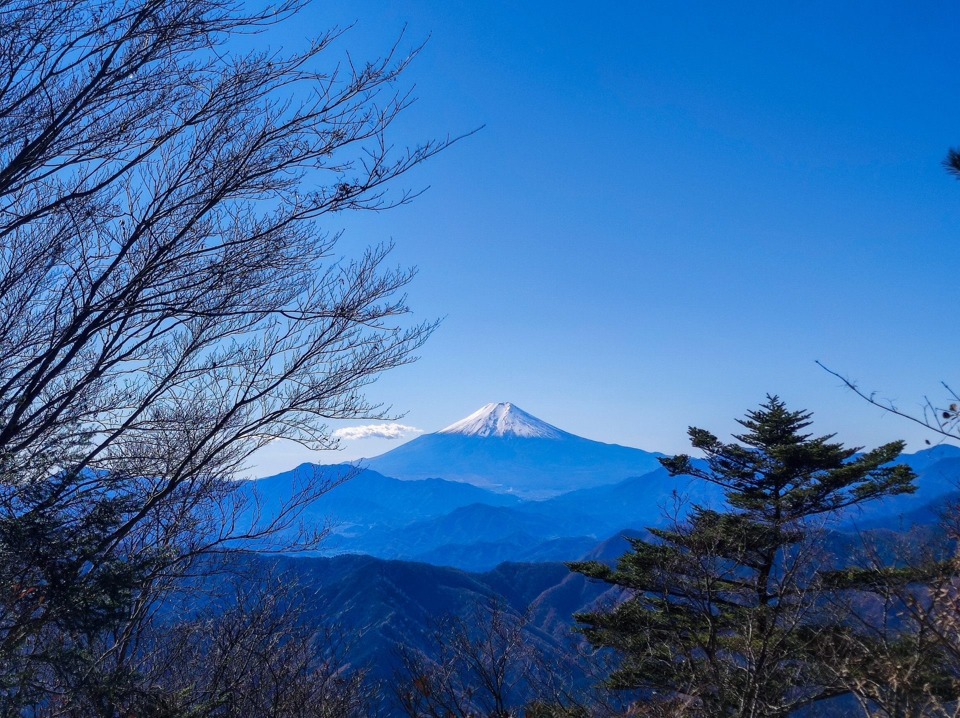 奥多摩三山の最高峰へ！ 三頭山から槇寄山 - フィールド＆マウンテン